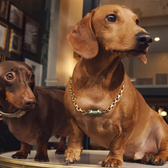 Alchemy Crystal Choker 18k Gold