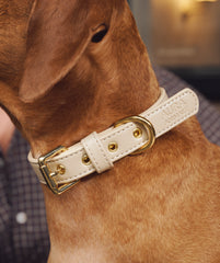 Soul Dog Collar Cream