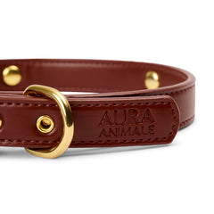 Soul Dog Collar Chestnut