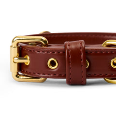 Soul Dog Collar Chestnut