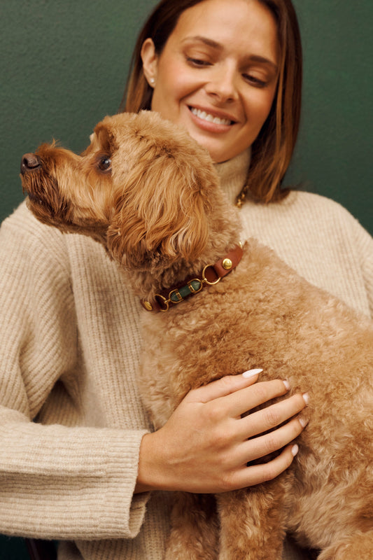 Choosing the Right Crystal for Your Pet
