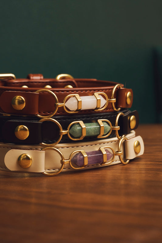 7 Benefits of Crystal-Infused Pet Accessories