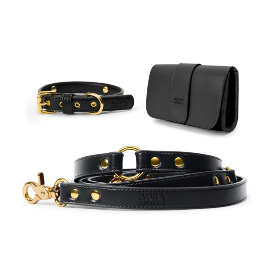 Classic Aura Walking Set