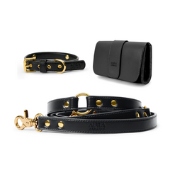 Classic Aura Walking Set