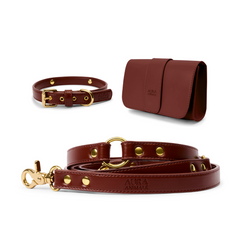 Classic Aura Walking Set