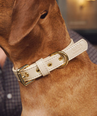Soul Dog Collar Cream