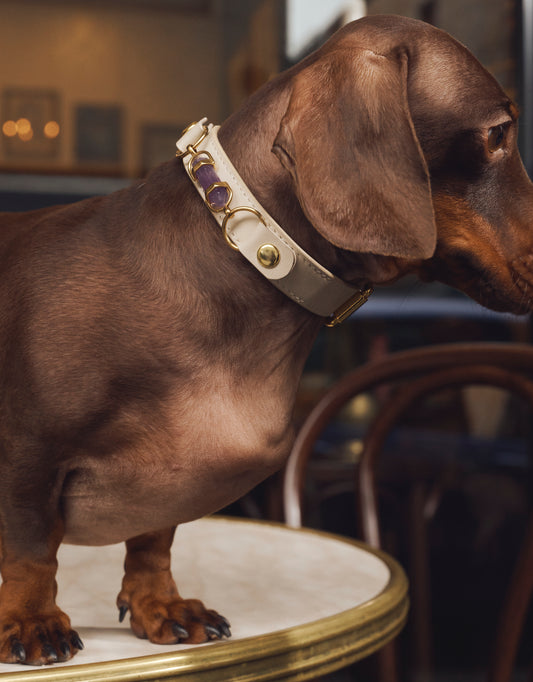 Soul Dog Collar Cream