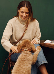 Soul Dog Handsfree Lead Chestnut