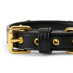 Soul Dog Collar Black
